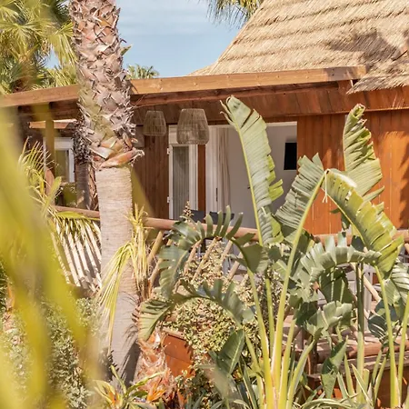 Toison D'or Ramatuelle